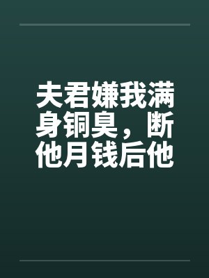 夫君嫌我满身铜臭,断他月钱后他跪求我发妻回心转意