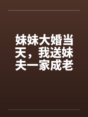 妹妹大婚当天,我送妹夫一家成老赖