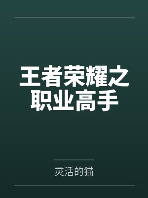 孙守正袁刚王者荣耀之职业高手
